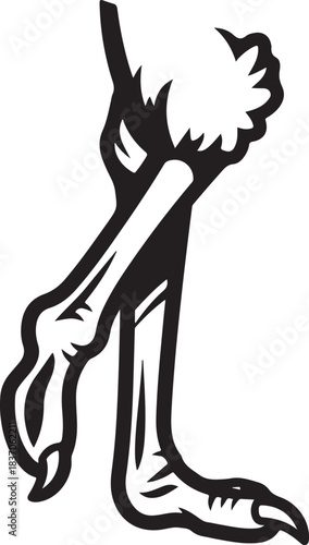 A Beautiful Ostrich Bird's Foot