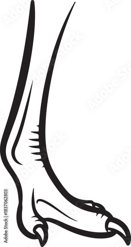 A Beautiful Ostrich Bird foot