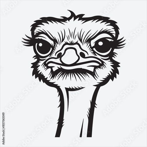 A Beautiful Ostrich Bird Heard