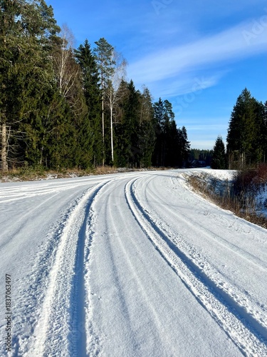 tire tracks on a country road