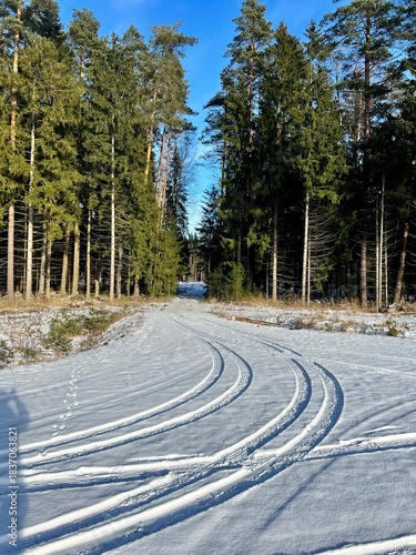 tire tracks on a country road