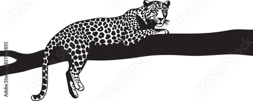 Leopard Resting on a Tree Branch Silhouette big cat