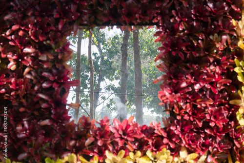 Variety plant decorate in landscaped garden,thailand