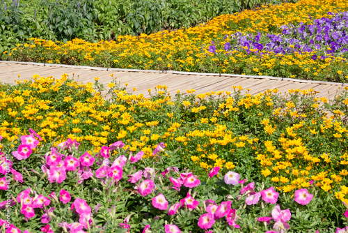 Variety plant decorate in landscaped garden,thailand