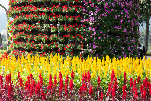 Variety plant decorate in landscaped garden,thailand