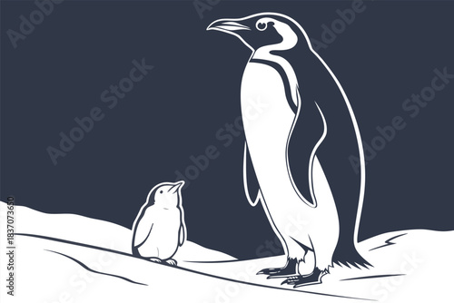 Adobe Illustrator Artwork 5