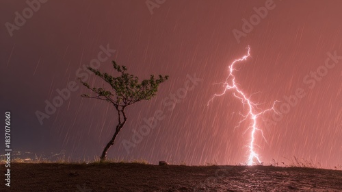 predictability. A solitary tree struck by lightning during a storm with dramatic sky. ESG reports, sustainability campaigns, designed for sustainability communications and ESG reporting.
