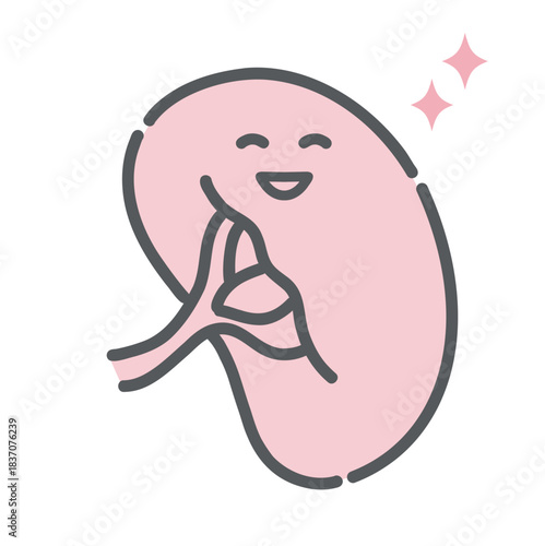 健康で元気な脾臓のキャラクターイラスト（正常・免疫機能）