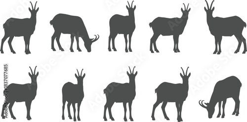 Silhouette collection of guanacos in various poses against a plain white background