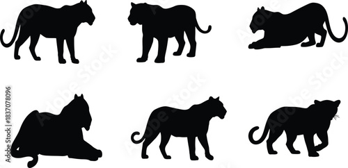 Silhouette collection of various majestic big cats and equine animals in a grid pattern