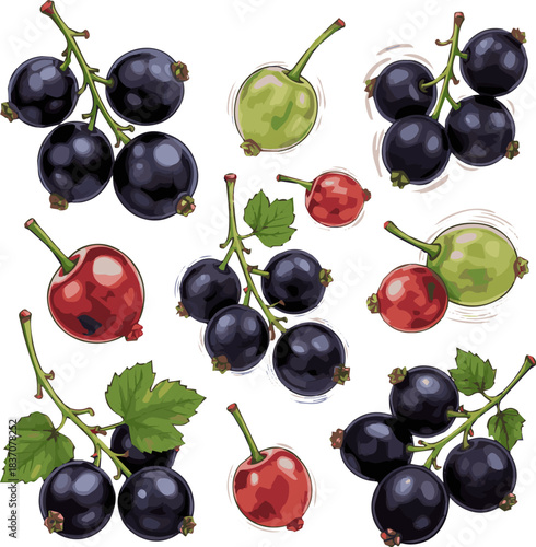 Create a kinds of deferent Black currants in motion vector art with white background.