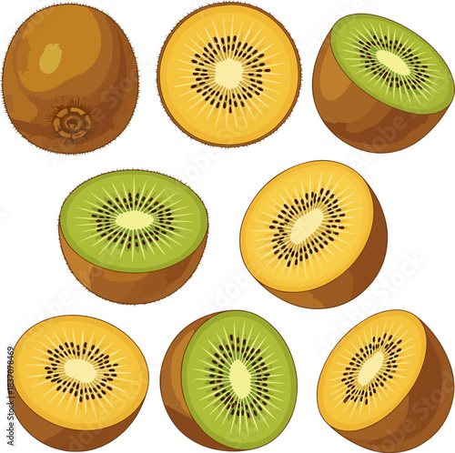 Create a kinds of deferent golden and brown kiwi fruit half vector art with white background..