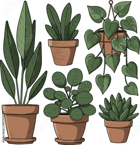 Create a kinds of deferent Green houseplant in terracotta pot vector art with white background.