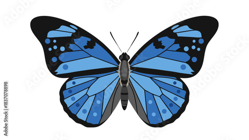 A Detailed Illustration of a Blue Butterfly with Intricate Wing Patterns Set Against a Stark Black Background Ideal for Nature and Science Visuals