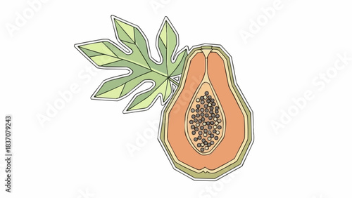 Stylized line art illustration of a halved papaya fruit and leaf.