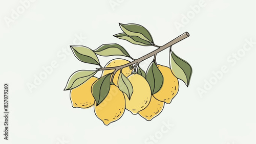 Branch of ripe lemons with green leaves illustration.