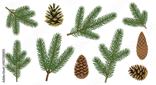 Realistic set of green pine or fir tree branches and brown pinecones for Christmas and winter holiday seasonal decorations.