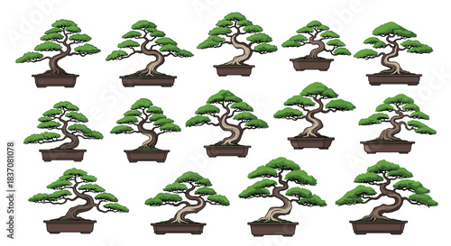 An extensive collection of fifteen detailed illustrations of traditional Japanese bonsai trees in various classic styles and pots.