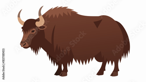 A Hairy Brown Yak Standing Still on a Black Background with Long Brown and White Horns and a Thick Fluffy Coat