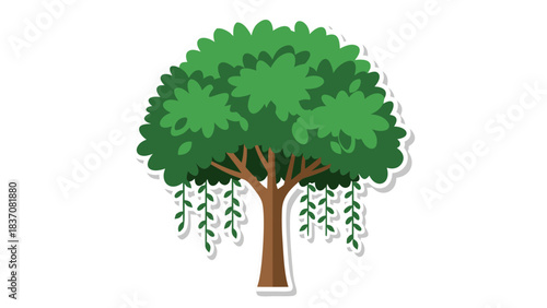 A Realistic Illustration of a Lush Green Weeping Willow Tree with Brown Trunk and Dangling Branches on a Transparent Background