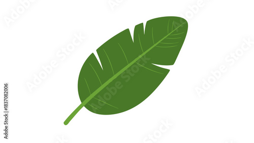 A simple green banana leaf illustration on a black background with a white outline and dotted lines accentuating its veins representing nature and tropical themes