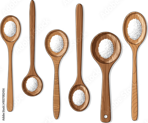 Create a kinds of deferent wooden spoon with white salt vector art with white background..