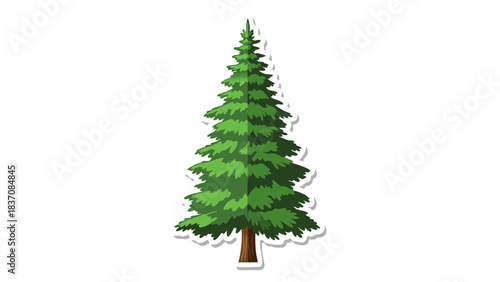 A stylized evergreen coniferous tree with lush green needles and a brown trunk isolated on a black background with a subtle white outline suggesting a sticker or decal graphic illustration