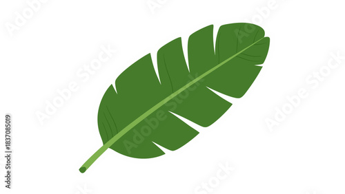 A Vibrant Green Banana Leaf with a White Outline on a Stark Black Background Symbolizing Nature and Tropical Elements