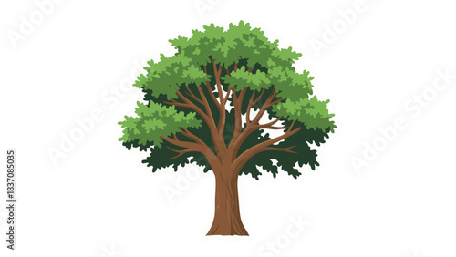 A vibrant green deciduous tree stands tall with a sturdy brown trunk and intricate branches against a stark black background with a subtle white outline emphasizing its shape and form