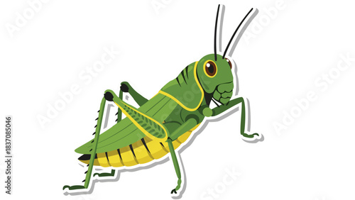 A Vibrant Green Grasshopper With Yellow Accents And Large Eyes Rests On A Dark Background Showing Its Detailed Anatomy And Antennae