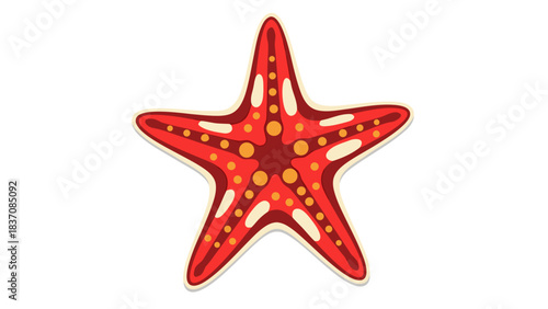 A vibrant red starfish with yellow spots and a cream border on a black background symbolizing marine life and the ocean's beauty