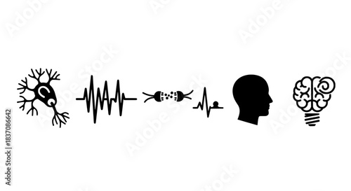 Understanding brain activity, neural connections, and the power of human intellect