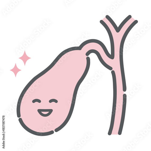 健康で元気な胆嚢のキャラクターイラスト（正常・消化機能）
