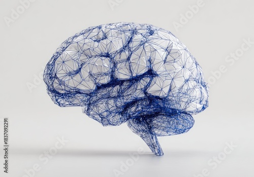 Low-poly human brain model, shown in blue wireframe against a white background