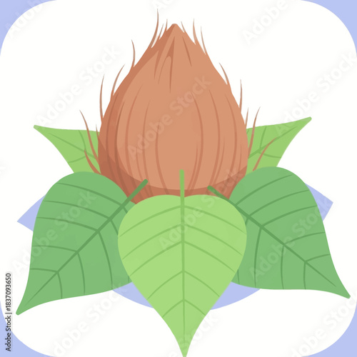 Illustration of a coconut with green leaves. Tropical fruit concept in vector format.