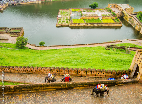 Tourists ride elephants climbing Amber Fort, with Maota Lake and Garden Island in scenic background, Jaipur, Rajasthan, India