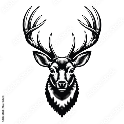 Majestic Stag Deer Head with Antlers Vector Design, head of a deer