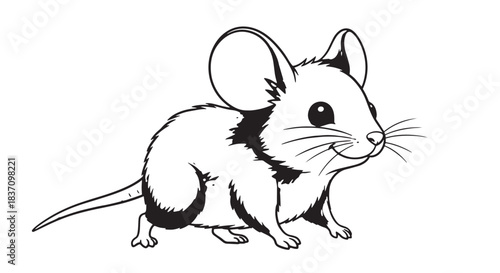 Hand-drawn mouse illustration featuring a small curious rodent in a playful pose.