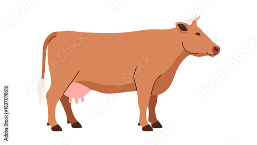 Brown Cow Standing in Profile on a Black Background with White Tail and Pink Udder Detailed Farm Animal Illustration with Horns and Ears