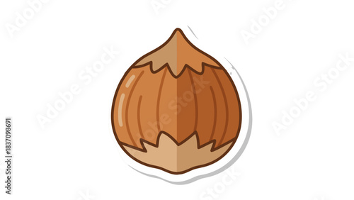 Brown Hazelnut with Jagged Edges and White Border Isolated on Black Background