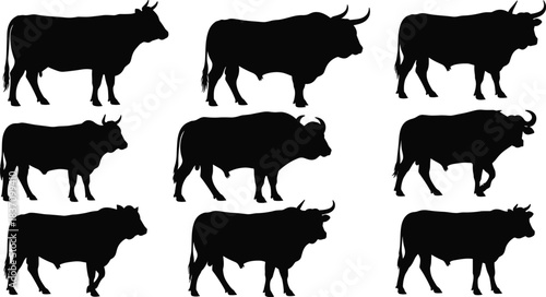 Bull and Cow Silhouettes Vector Set, Featuring Different Cattle Poses and Breeds, Ideal for Beef, Ranching, Farm Logos, and Livestock Graphic Design Elements
