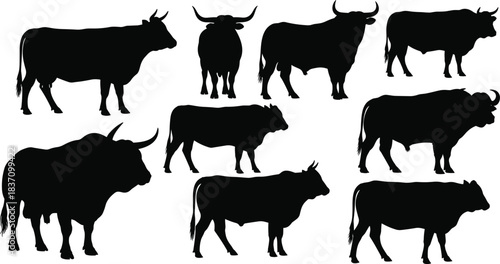 Cattle Silhouettes Vector Set, Featuring Diverse Bull and Cow Breeds in Various Poses, Ideal for Ranching, Dairy, Beef, and Farm Animal Graphic Design Projects
