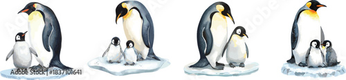Emperor penguin. Watercolor set illustration isolated on white. Northern wild animals. Adult and baby penguins on an ice floe. For children's books, postcards, stickers, patterns, decor design