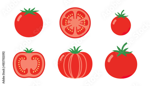 Fresh red tomatoes vector illustration isolated on black background