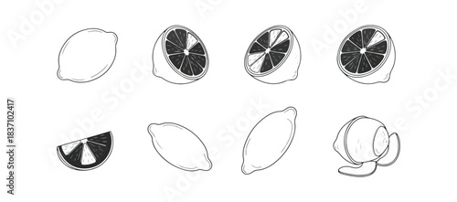 Lemon illustrations whole half slices isolated graphic elements