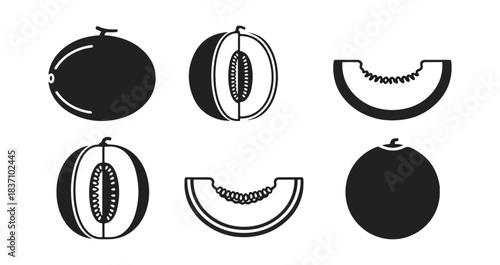 Melon slices and whole fruits illustrated graphic elements