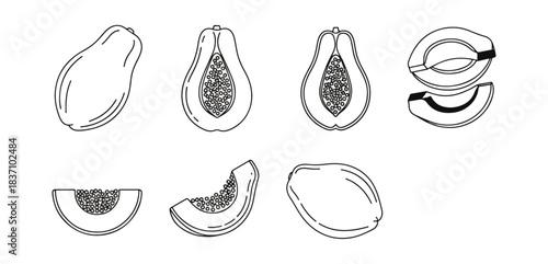 Papaya fruit illustrations various cuts and angles