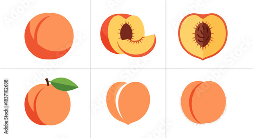 Peach illustrations whole sliced and sections on dark background