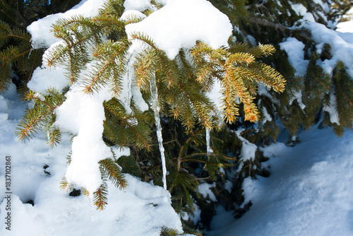 Ski resort Pamporovo in the Rhodopes mountaines in Bulgaria