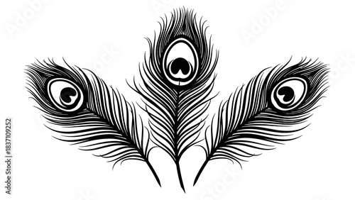 Black silhouettes of peacock feathers